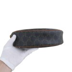 Celine Ava Bag in Triomphe Canvas