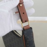 Celine Ava Bag in Triomphe Canvas