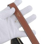 Celine Ava Bag in Triomphe Canvas