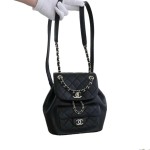 Chanel Duma Backpack in Quilted Calfskin