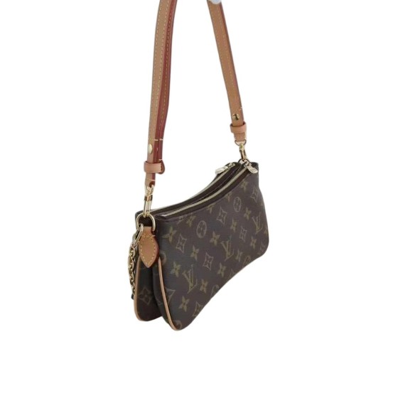 Louis Vuitton Pochette Accessoires in Monogram Canvas
