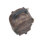Louis Vuitton Palm Springs Backpack Mini in Monogram Canvas