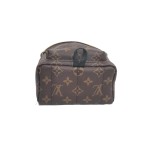 Louis Vuitton Palm Springs Backpack Mini in Monogram Canvas