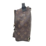 Louis Vuitton Palm Springs Backpack Mini in Monogram Canvas