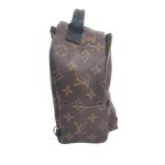 Louis Vuitton Palm Springs Backpack Mini in Monogram Canvas