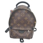 Louis Vuitton Palm Springs Backpack Mini in Monogram Canvas
