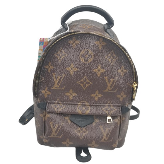 Louis Vuitton Palm Springs Backpack Mini in Monogram Canvas