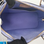 Louis Vuitton Alma Bag