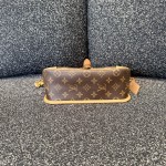 Louis Vuitton Diane Monogram Canvas Shoulder Bag
