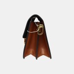 Louis Vuitton  Dauphine Monogram & Monogram Reverse Shoulder Bag