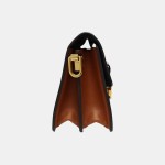 Louis Vuitton  Dauphine Monogram & Monogram Reverse Shoulder Bag