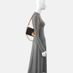 Louis Vuitton x Sun Yitian Pochette Accessoires Monogram Leopard Chain Bag