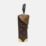 Louis Vuitton Camera Box Mini Monogram & Monogram Reverse Shoulder Bag