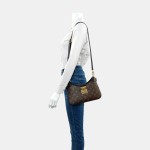 LOUIS VUITTON TWINNY棕色涂层帆布老花单肩包新牛角