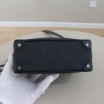 Mini Soft Trunk 链条包
