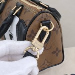 Louis Vuitton x Sun Yitian Nano Speedy Monogram Reverse