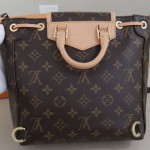Louis Vuitton Monogram Excursion PM Backpack