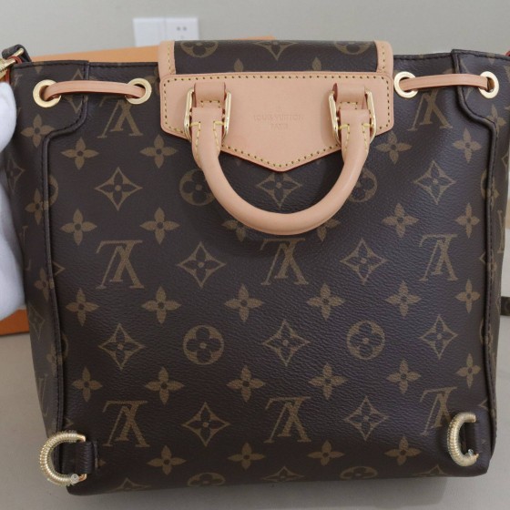 Louis Vuitton Monogram Excursion PM Backpack
