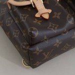 Louis Vuitton Monogram Excursion PM Backpack