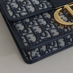 DIOR 30 Montaigne Bag