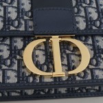 DIOR 30 Montaigne Bag
