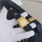 DIOR 30 Montaigne Bag