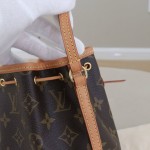 Louis Vuitton Nano Noé Monogram Canvas Bucket Bag