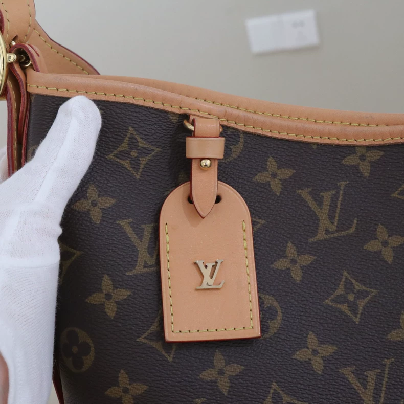 路易威登 CarryAll 中号手袋