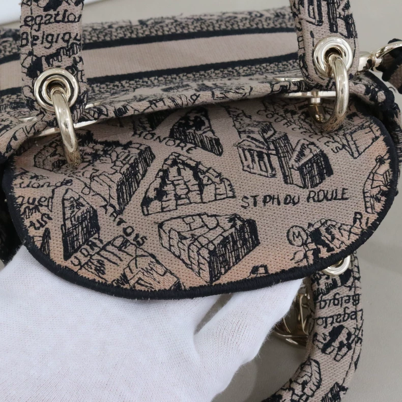 Mini Lady Dior Bag Plan de Paris Embroidery Canvas