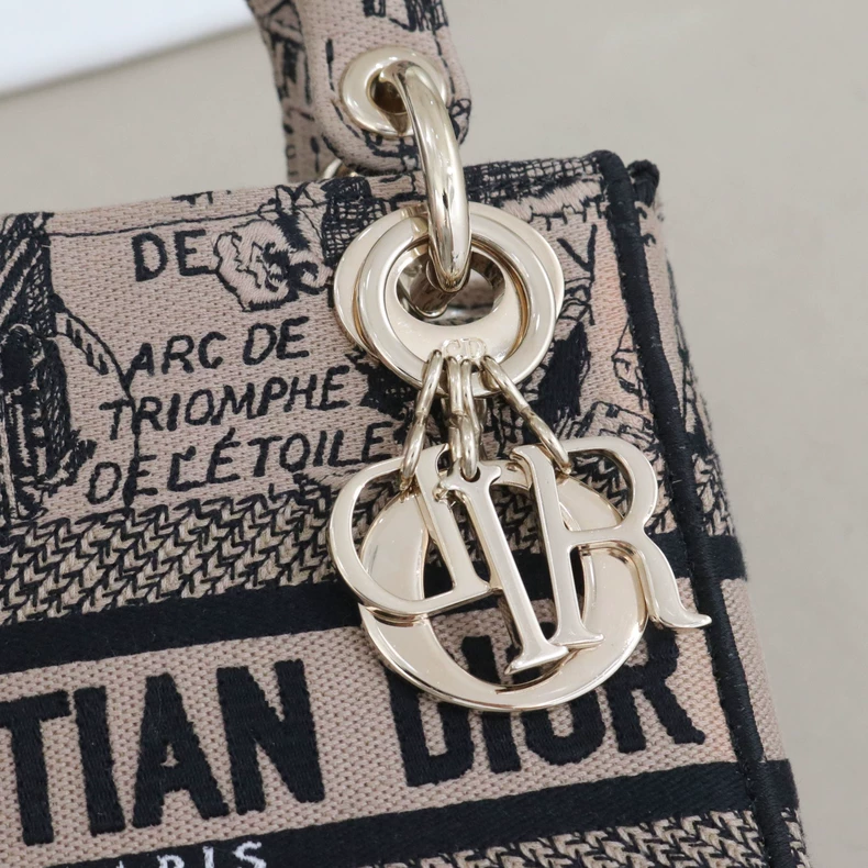 Mini Lady Dior Bag Plan de Paris Embroidery Canvas