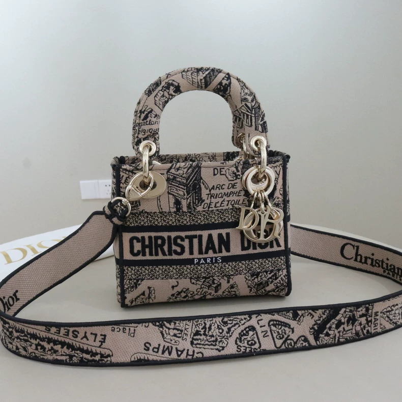 Mini Lady Dior Bag Plan de Paris Embroidery Canvas