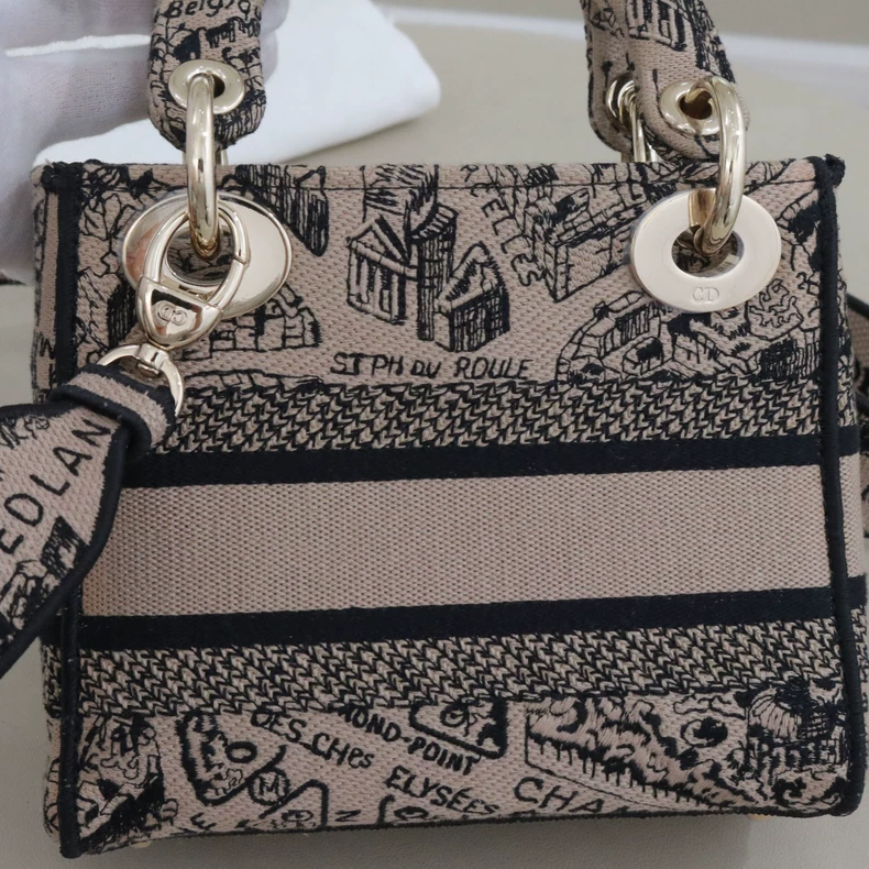 Mini Lady Dior Bag Plan de Paris Embroidery Canvas