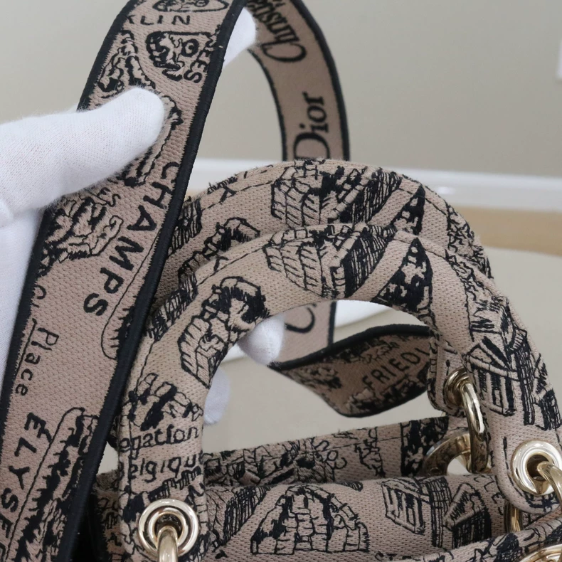 Mini Lady Dior Bag Plan de Paris Embroidery Canvas