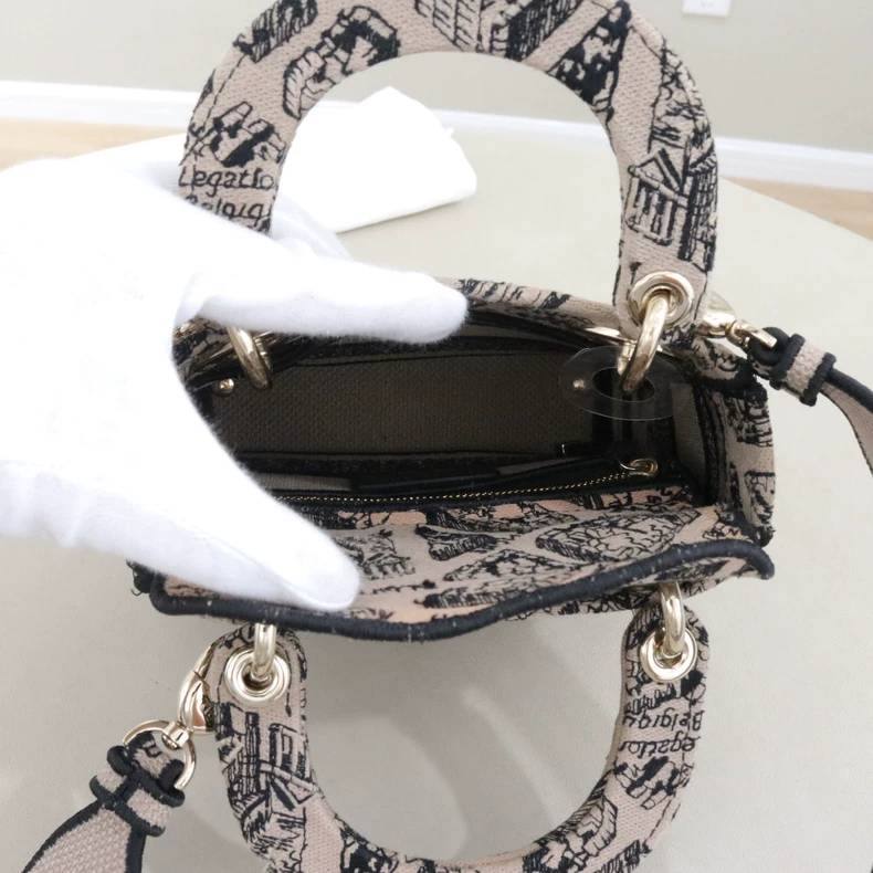 Mini Lady Dior Bag Plan de Paris Embroidery Canvas