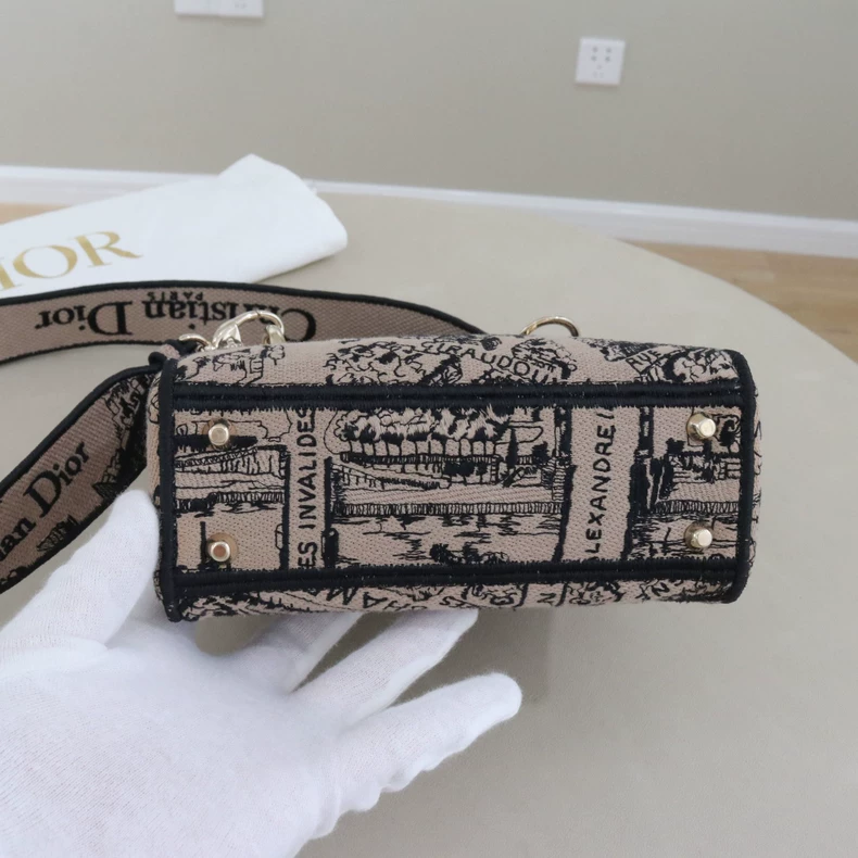 Mini Lady Dior Bag Plan de Paris Embroidery Canvas