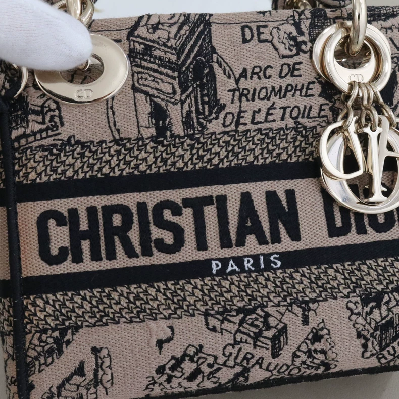 Mini Lady Dior Bag Plan de Paris Embroidery Canvas