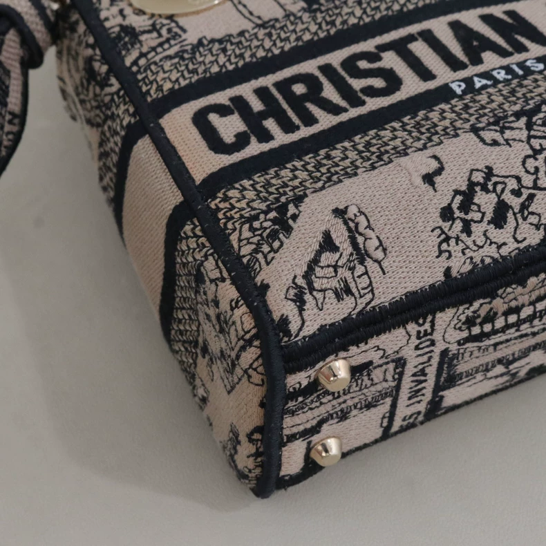 Mini Lady Dior Bag Plan de Paris Embroidery Canvas